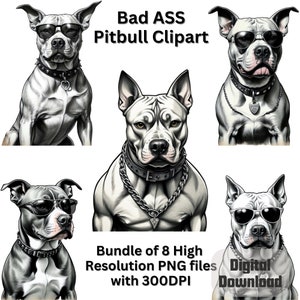 Puede incluir: Una descarga digital de ocho archivos PNG de alta resolución que presentan una variedad de imágenes de un pitbull con gafas de sol y collar. Las imágenes son de 300 DPI.