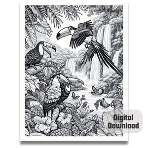 May include: Black and white illustration of toucans in a jungle setting with a waterfall in the background. The toucans are perched on branches and leaves. The illustration is detailed and intricate.