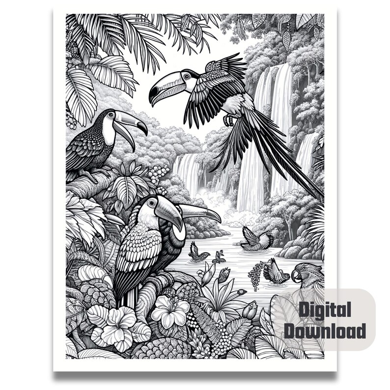 May include: Black and white illustration of toucans in a jungle setting with a waterfall in the background. The toucans are perched on branches and leaves. The illustration is detailed and intricate.
