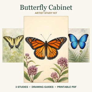 May include: Butterfly Cabinet Artist Study Kit featuring three illustrations of butterflies. The center shows a monarch butterfly above purple milkweed flowers. The left shows a yellow swallowtail, and the right shows a blue morpho butterfly.