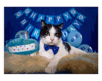 Blue Cat Birthday Card