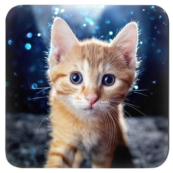 Kitten Party Coasters, Kitten Home Décor, Cat Coasters, Kitten