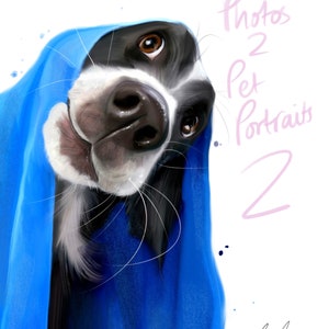Photos 2 pet portraits 2 | turn photos into arty portraits using my method on procreate | brush set included