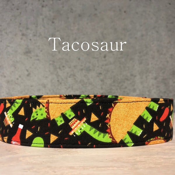Taco Dinosaur Fiesta Dog Collar
