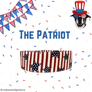 Patriotic Stars and Stripes Dog Collar