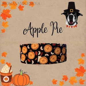 Apple Pie Dog Collar