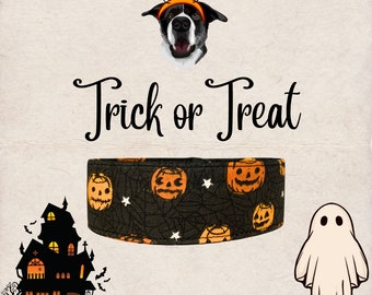 Collar de calabaza para perros con mensaje "truco o trato"