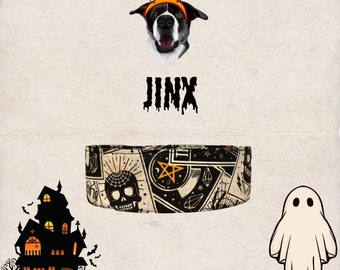 May include: A black and white dog wearing a headband with two orange jack-o'-lantern faces. The dog's name is "Jinx" and is written in black dripping letters. A black and white patterned dog collar with a skull and crossbones design. A black silhouette of a haunted house with orange windows. A white ghost with two black eyes.