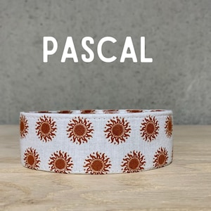 Orange Sun Dog Collar