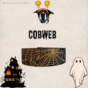 Op de afbeelding: Een Halloween-afbeelding met een hond met een pompoen-hoofdband en een zwart-oranje spinnenweb-halsband. Het woord "COBWEB" wordt weergegeven in een druipend lettertype. Een spookhuis en een geest zijn ook te zien.