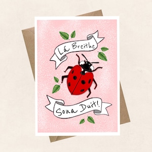 May include: A pink card with a white banner that says "Lá Breithe Sona Duit!"  The banner is decorated with green leaves and a red ladybug with black spots.