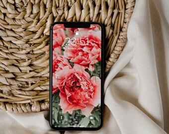 Pfingstrose iPhone Wallpaper | Sommer Blume Lock Bildschirm