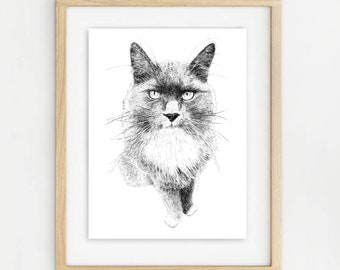 Grey Long-Haired Cat. A4 signed limited edition unframed print. Wrapped with recycled hardboard backing in biodegradable cello wrap.