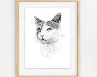 Short Haired Cat Cat. A4 signed limited edition unframed print. Wrapped with recycled hardboard backing in biodegradable cello wrap.