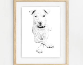 Jack Russell. A4 signed limited edition unframed print. Wrapped with recycled hardboard backing in biodegradable cello wrap.