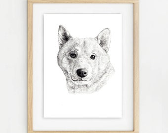 Shiba Inu. A4 signed limited edition unframed print. Wrapped with recycled hardboard backing in biodegradable cello wrap.