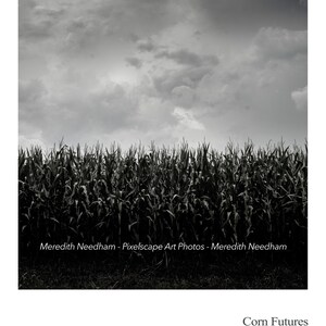 No. 6 - Corn Futures