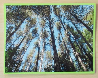 Nature Photo Card | Trees | Sky | Happy Mail | Pen Pal | Snail Mail | Blank Card | Photo