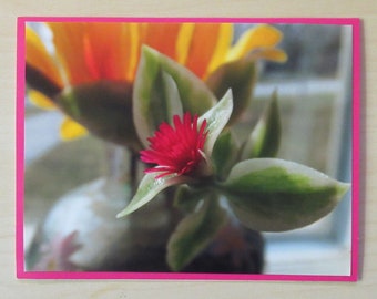 Nature Photo Card - Flower