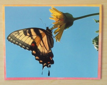 Nature Photo Card | Yellow Swallowtail Butterfly | Happy Mail | Pen Pal | Snail Mail | Blank Card | Photo