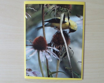 Nature Photo Card - Bird & Flower