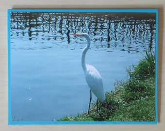 Nature Photo Card Snowy Egret | Happy Mail | Pen Pal | Snail Mail | Blank Card | Photo