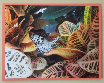 Nature Photo Card