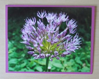 Nature Photo Card - Flower