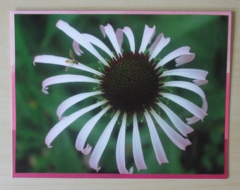 Nature Photo Card - Flower