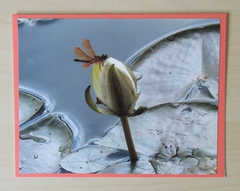 Nature Photo Card | Lily Pad | Happy Mail | Pen Pal | Snail Mail | Blank Card | Photo