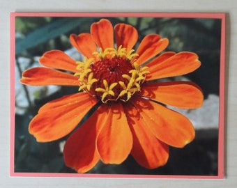 Nature Photo Card | Orange Flower | Happy Mail | Pen Pal | Snail Mail | Blank Card | Photo