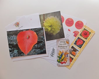 Fall Snail Mail Kit | Nature Photo Card | Stationary | Stickers | Bookmark | Happy Mail | Pen Pal | Snail Mail | Magnet |