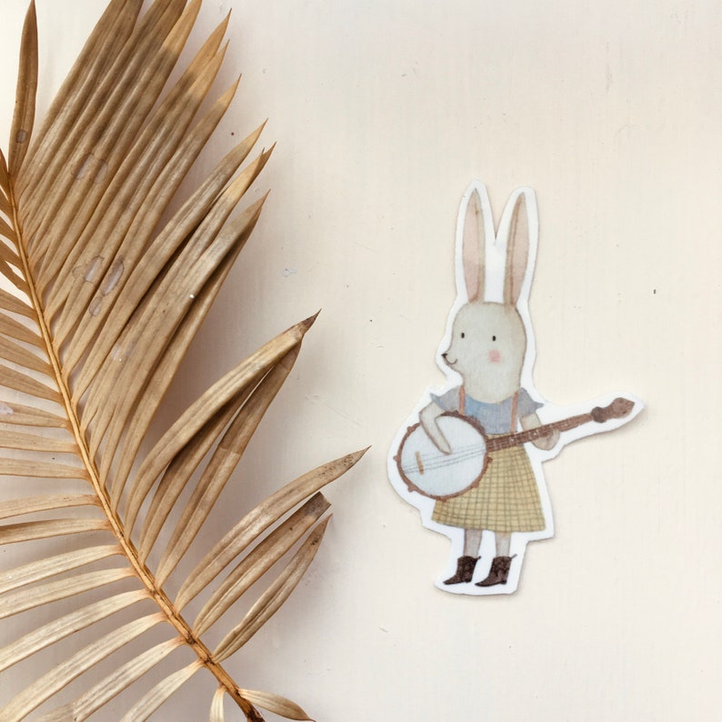 May include: A white rabbit wearing a blue and white dress and a plaid skirt plays a banjo. The rabbit has brown eyes and a pink nose.