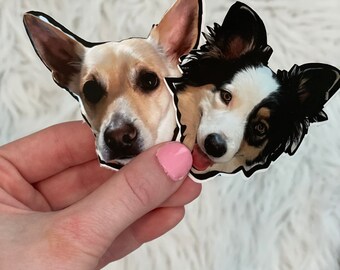 Pegatinas personalizadas para mascotas l Pegatinas personalizadas para mascotas l Pegatinas para perros l Pegatinas para gatos l Peleterías Mama l Pegatinas lindas l Pegatinas para mamás de piel l Pegatinas