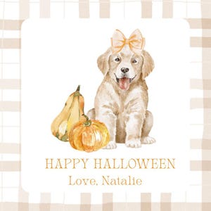 Può includere: Illustrazione ad acquerello di un cucciolo di golden retriever con un fiocco e zucche. Il testo recita "Happy Halloween, Love, Natalie" in lettere dorate. Lo sfondo presenta un motivo a quadri beige e bianco.