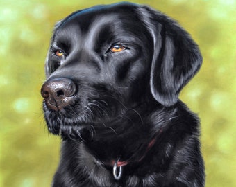 Realistic pastel art - original pet portraits