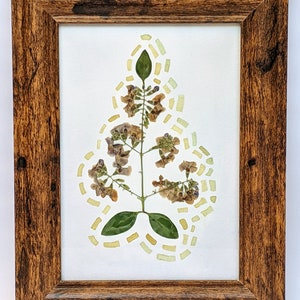 Pressed Flower with Ink Painting {littlefoot}