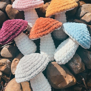 The Boho Mushroom