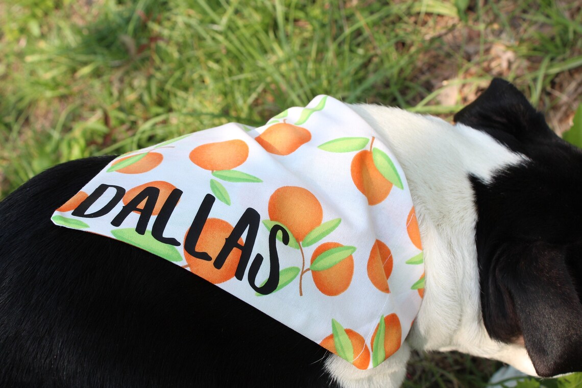 Orange Dog Bandana Personalized Etsy