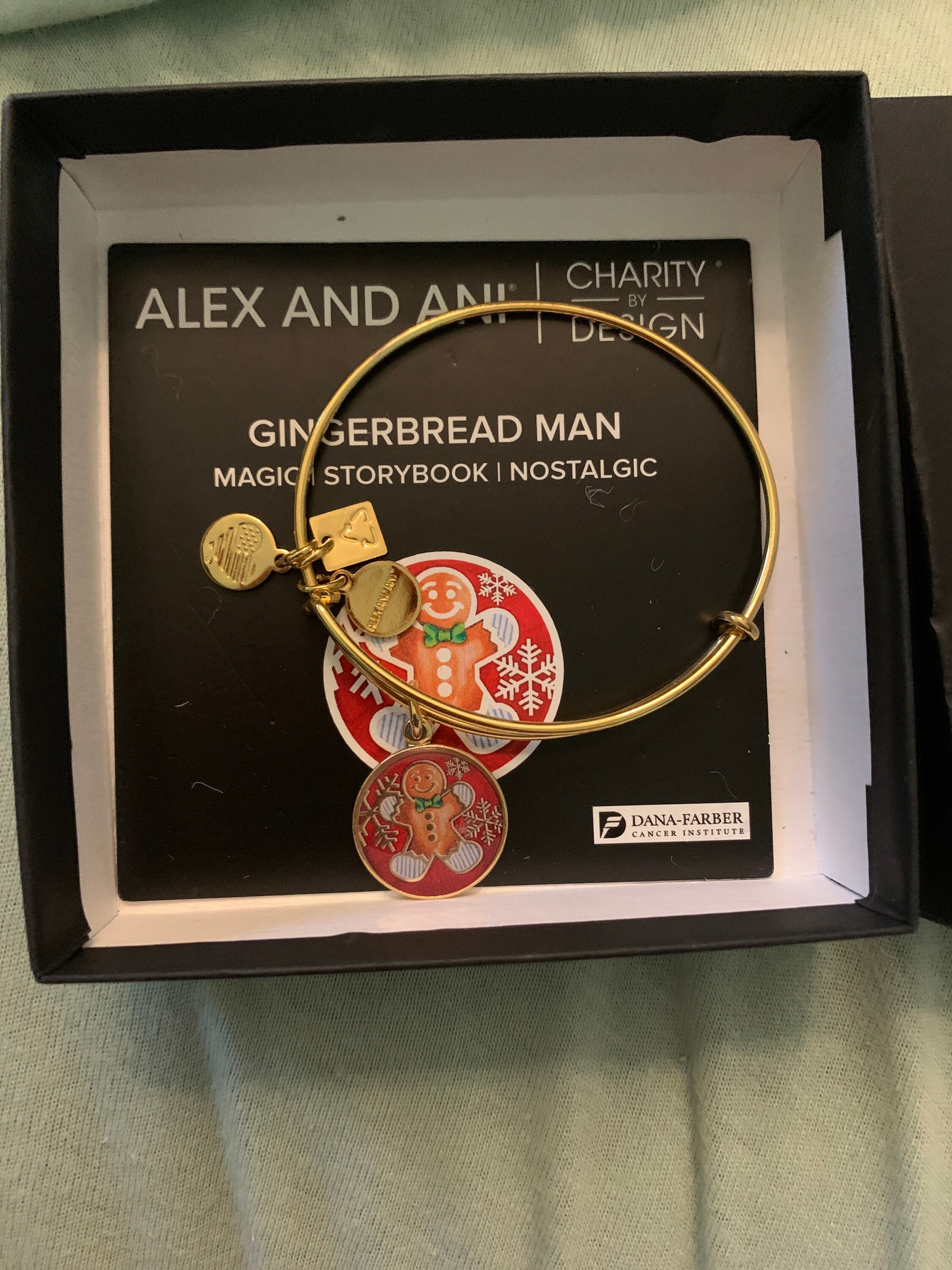 alex and ani book bracelet