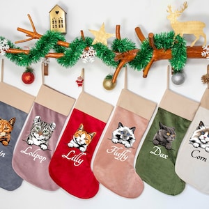 Custom Cat Breed Stockings, Velvet Stocking, Christmas Decoration for Pets, Cat Stocking, Pet Stockings, Vinyl Pressing, Cat Mom Gift