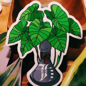 Pohaku Ku&#39;i &#39;Ai/ Colocasia Esculenta / Taro Root / Poi Pounder / Hawaiian Kalo Sticker/ Fish Hook/ Shark Tooth/ Cordage Rope/ Hawaii Stone