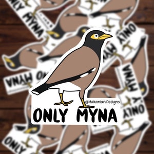 Only Mynah/ Myna /Minah /Minor/ Bird /Hawaii Decal /Hawaiian State Bird /Scrap Fights 808 Scraps/ Funny Sticker