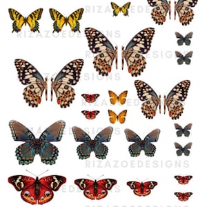 Butterflies| Butterfly nail art, nail supplies, nail decals, nail stickers, Butterfly Wing Nail Decals, Butterfly Waterslide nail decals
