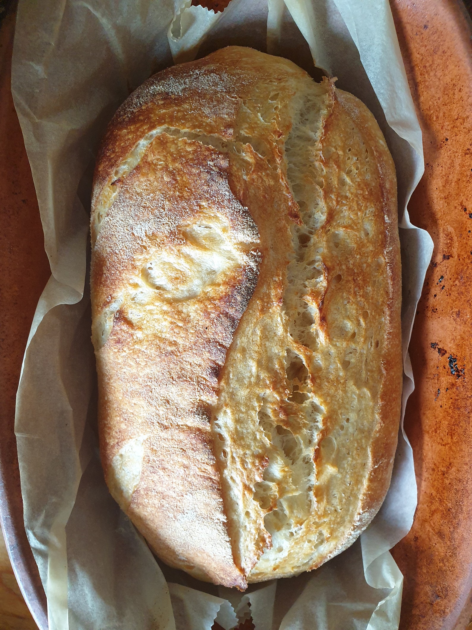 Dry Sourdough Starter 30gr Dehydrated Etsy UK