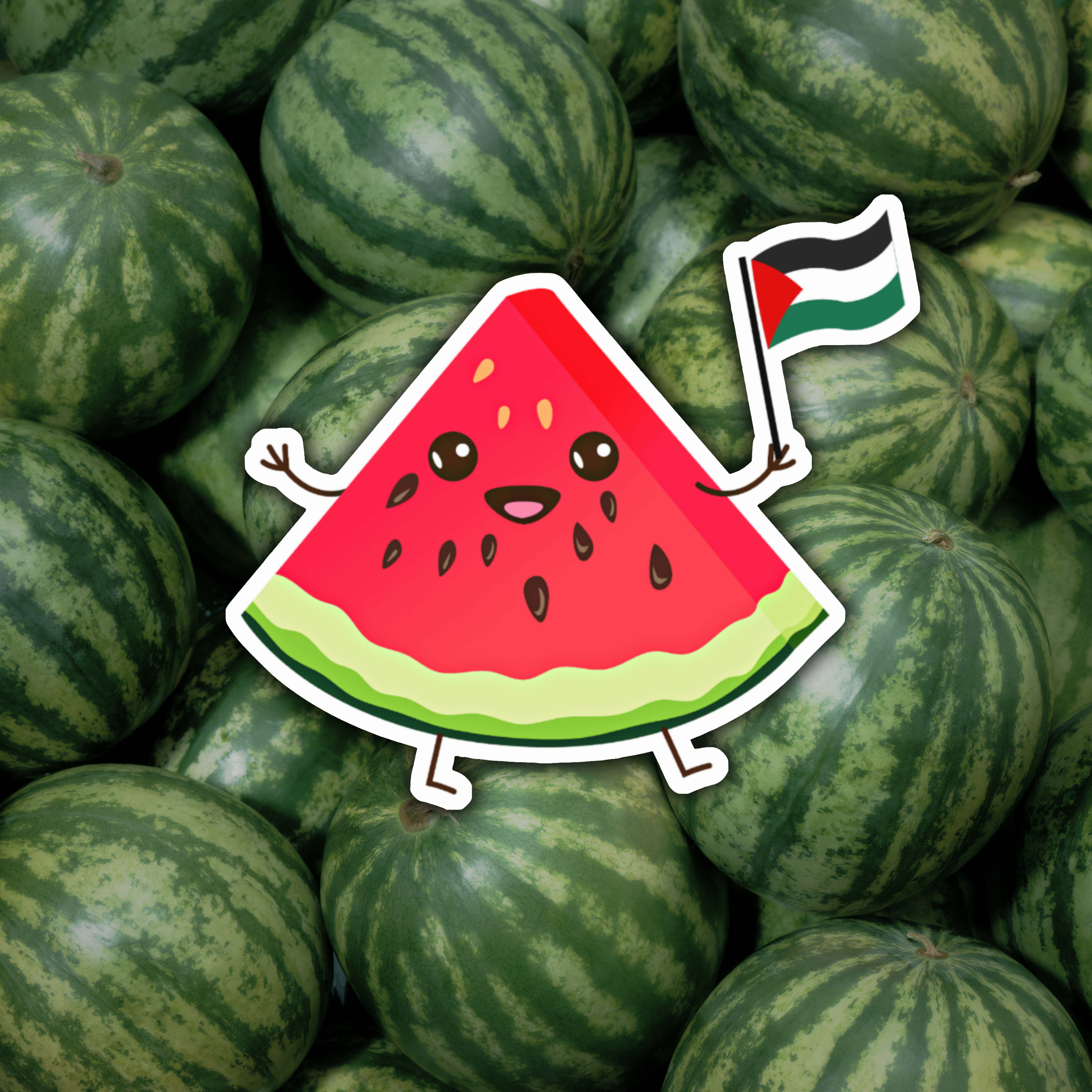 Cute Cartoon Watermelon Palestine Flag or Blood Drop Holding Palestine Flag Matte Sticker, Palestinian Dammi Falastini Sticker, Gift
