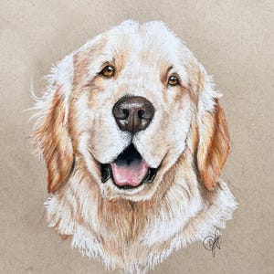 Ritratti di animali domestici personalizzati disegnati a mano