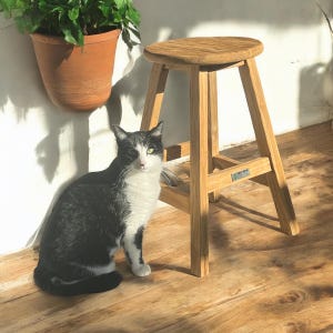 Peut inclure: Un chat noir et blanc est assis sur un sol en bois à côté d'un tabouret en bois. Le tabouret a un siège rond et un design simple. Le tabouret est en bois naturel et porte une petite étiquette sur le côté qui indique "Teak Wood".