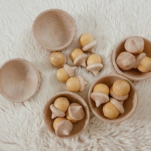 Wooden Acorn Sorting Set: Montessori Counting Toy