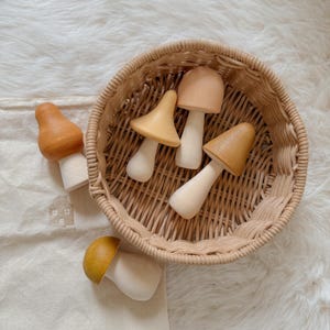 Wooden Mushroom Set: Montessori Sensory Bin Toy